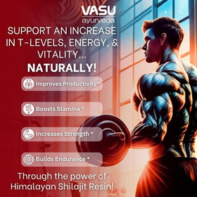 Vasu Shilajit Pur 400mg, résine noire dans un petit pot