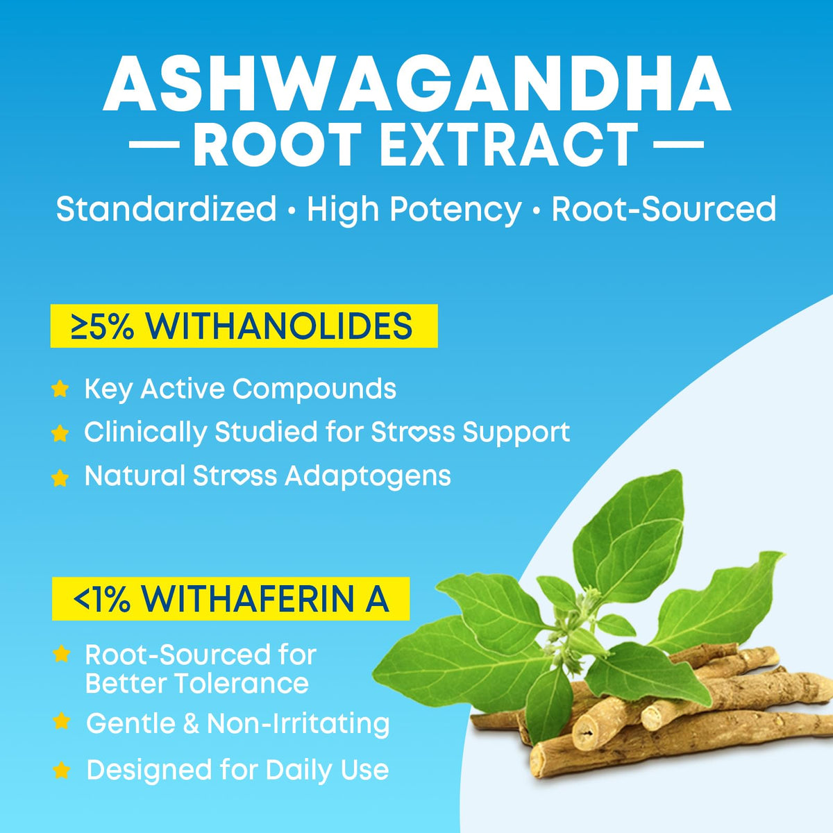 Vazatisi Gummies Ashwagandha avec ingrédients sur une table
