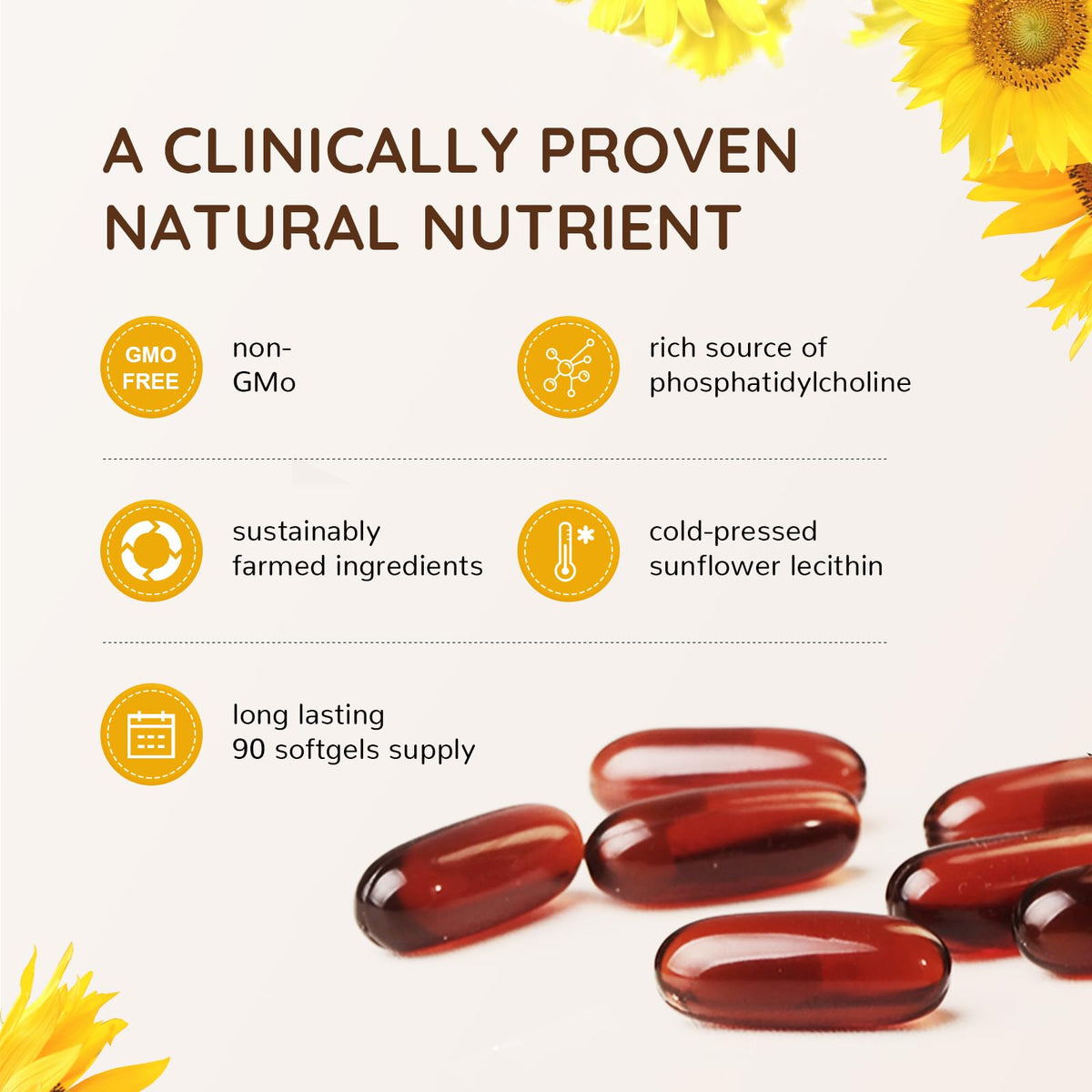 VBTOP Lécithine de Tournesol 2400 mg gélules molles arrière