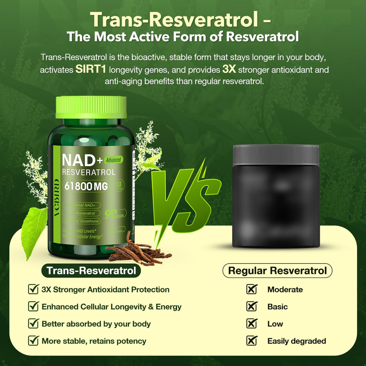 VCBIRD Liposomal NAD+ 1200mg capsules en gros plan