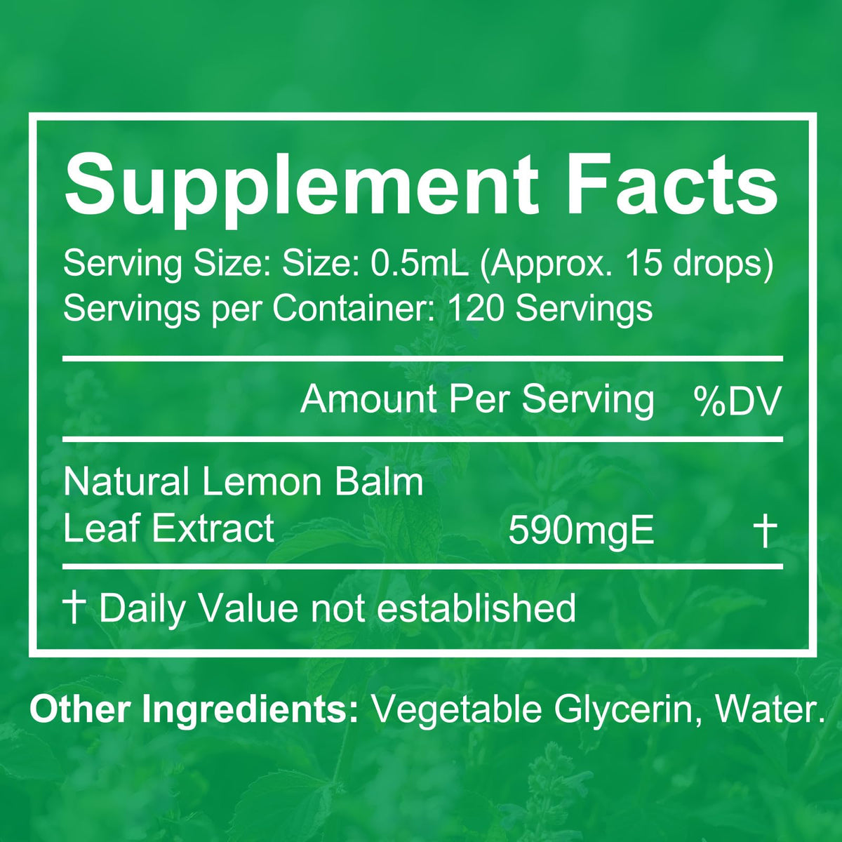 Vceeoy Extrait de Mélisse 590mg bouteille avec étiquette