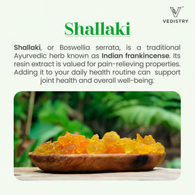 Vedistry Boswellia dans un environnement naturel