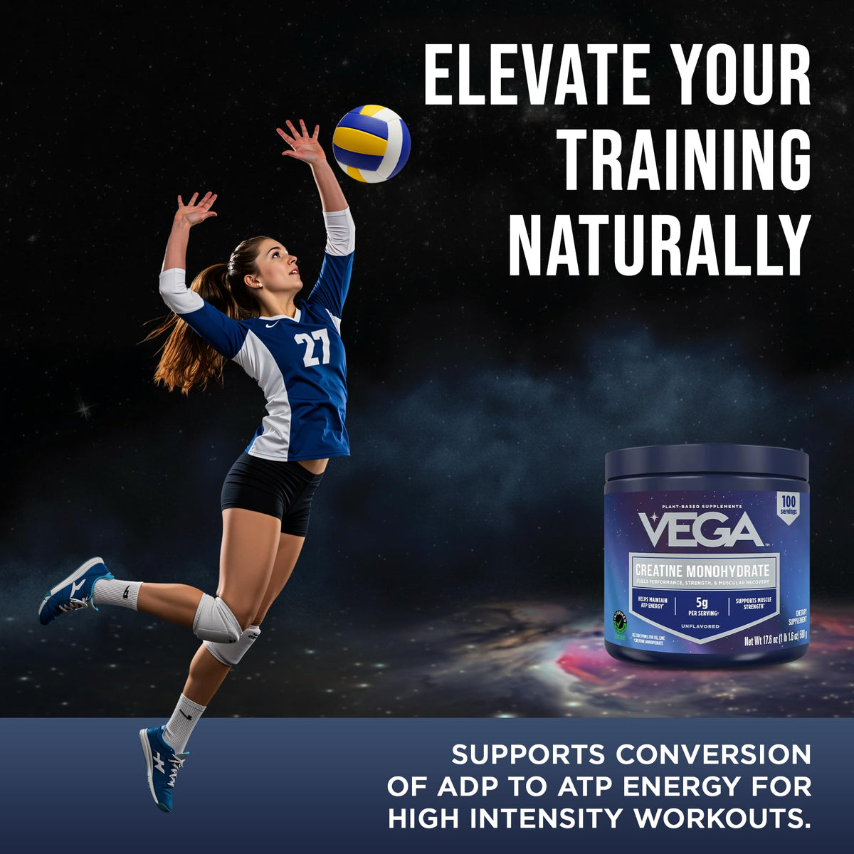Vega Poudre de Créatine Monohydrate Micronisée 590g avec shaker