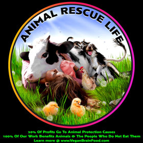 Vegan's Best Friend multivitamine 358g et informations nutritionnelles