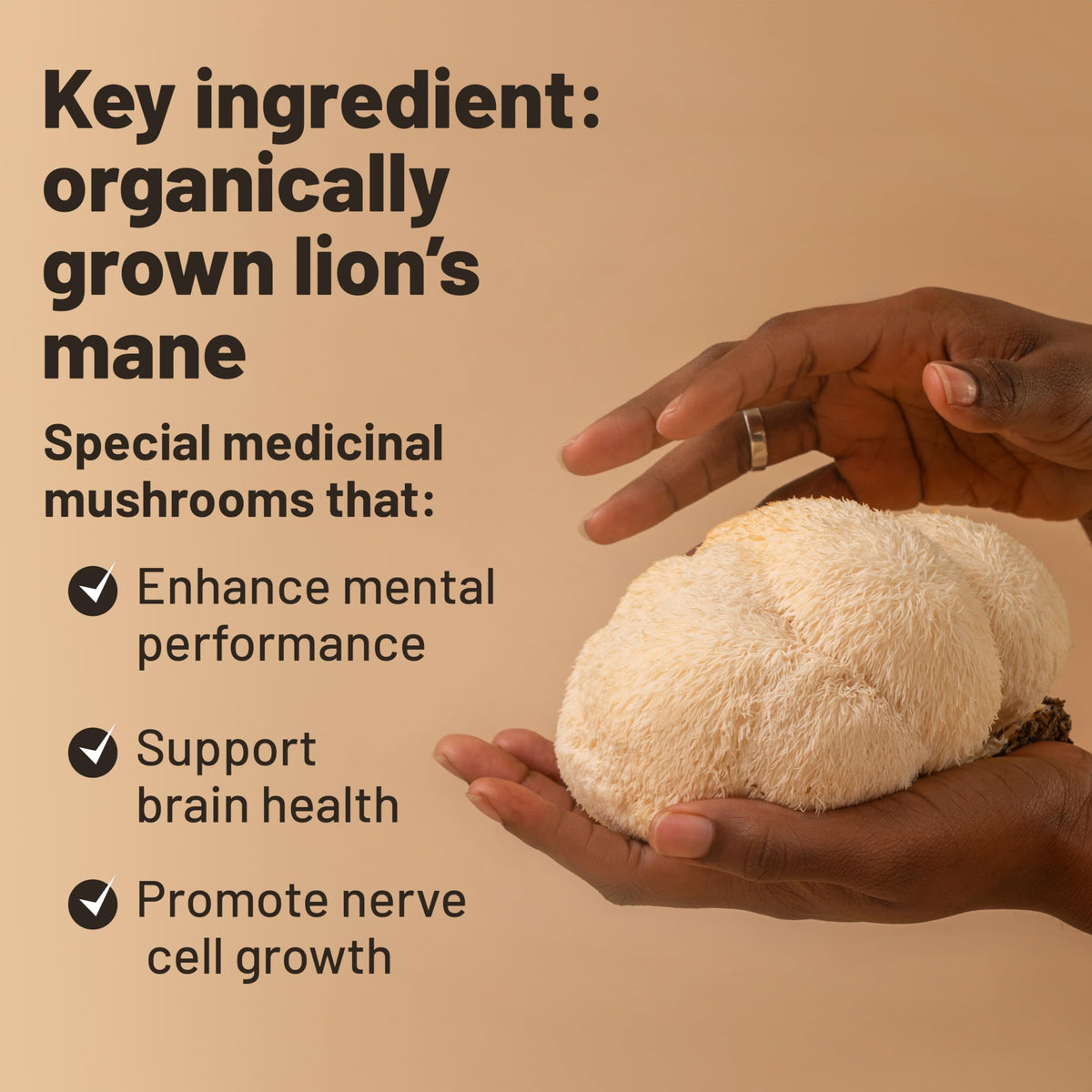 Vegan Vitality champignon Lion's Mane capsules à côté de plantes