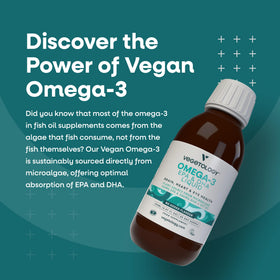VEGETOLOGY Omega 3 Végétalien 800mg bouteille arrière