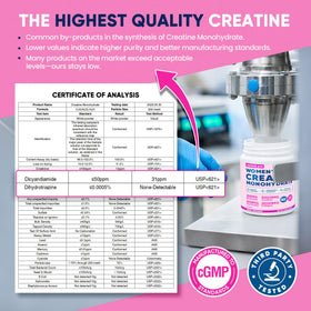 Venture Pal Créatine 18 en 1 390g emballage