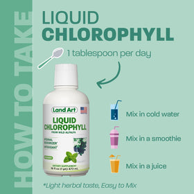 Versée de chlorophylle liquide dans un verre d'eau