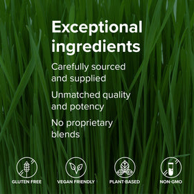 Vibrant Health Green Vibrance comprimés 240 g dans un environnement de cuisine