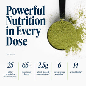 Vibrant Health Green Vibrance Poudre Superfoods 431g Goût Myrtille Citron ingrédients