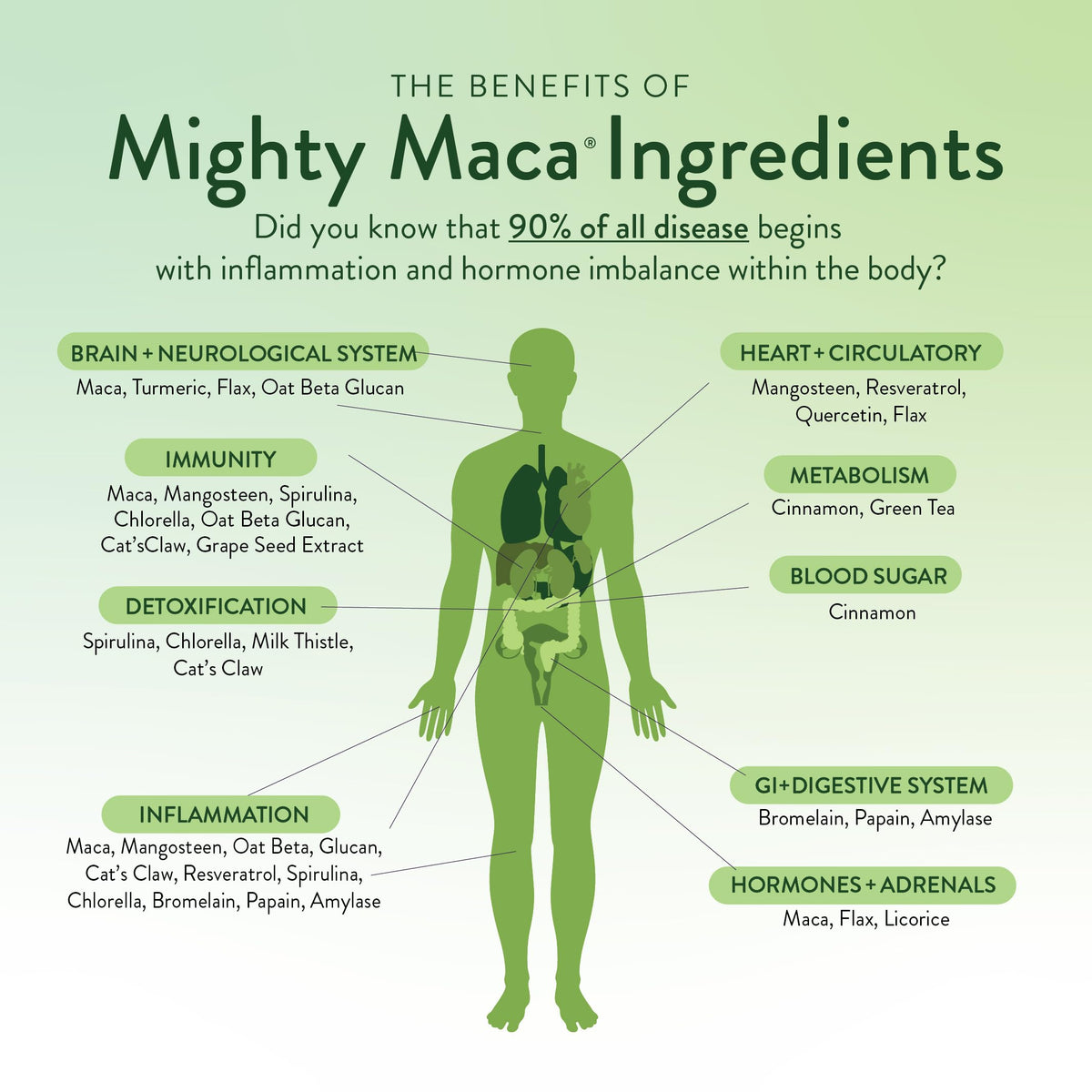 VIDAPURA Mighty Maca Plus Mango poudre dans un verre d'eau