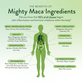 VIDAPURA Mighty Maca Plus Mango poudre dans un verre d'eau