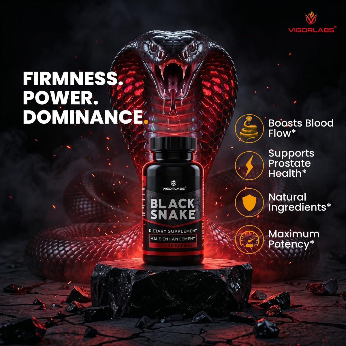 Vigor Labs Black Snake 30 Capsules vue arrière avec ingrédients