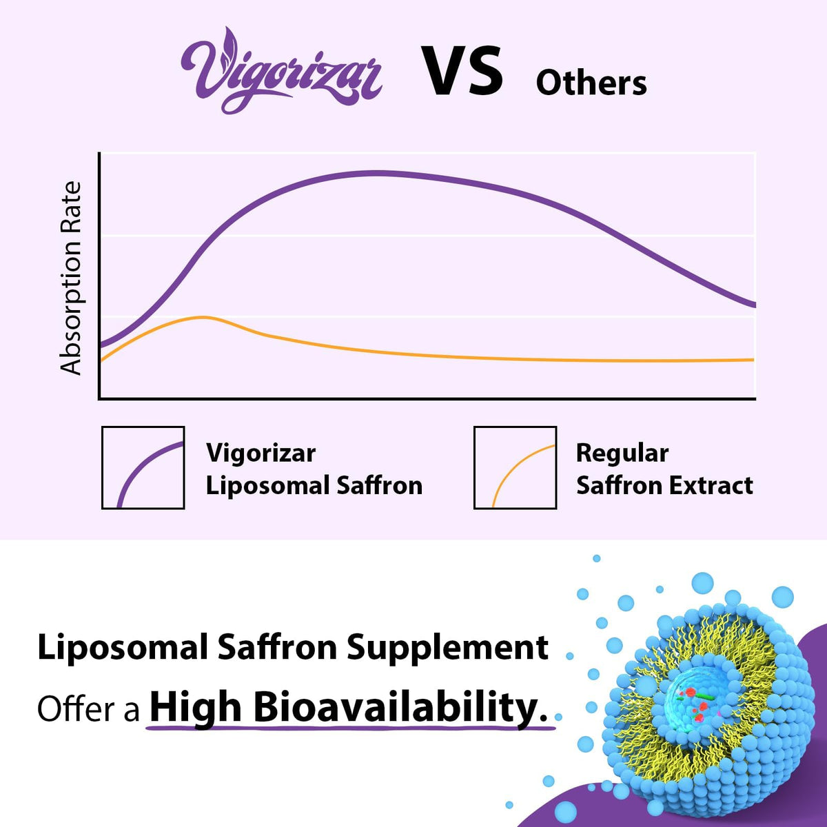 Vigorizar Compléments Saffron Liposomal emballage