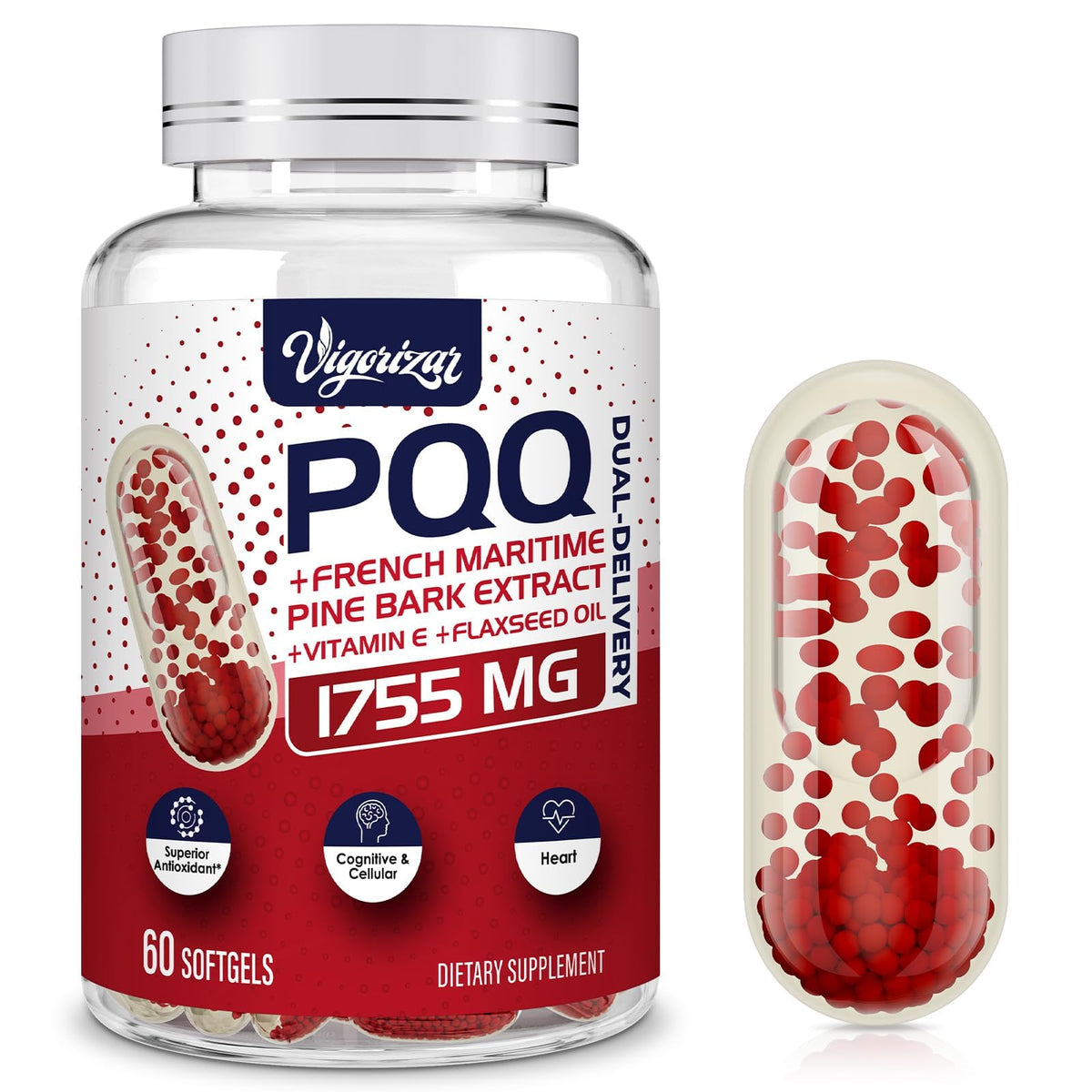Vigorizar Pycnogeno PQQ 60 gélules vue de face