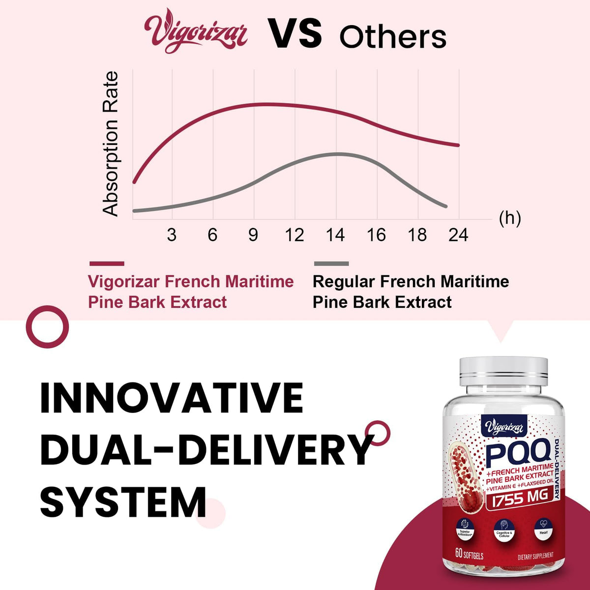 Vigorizar Pycnogeno PQQ boîte avec étiquette