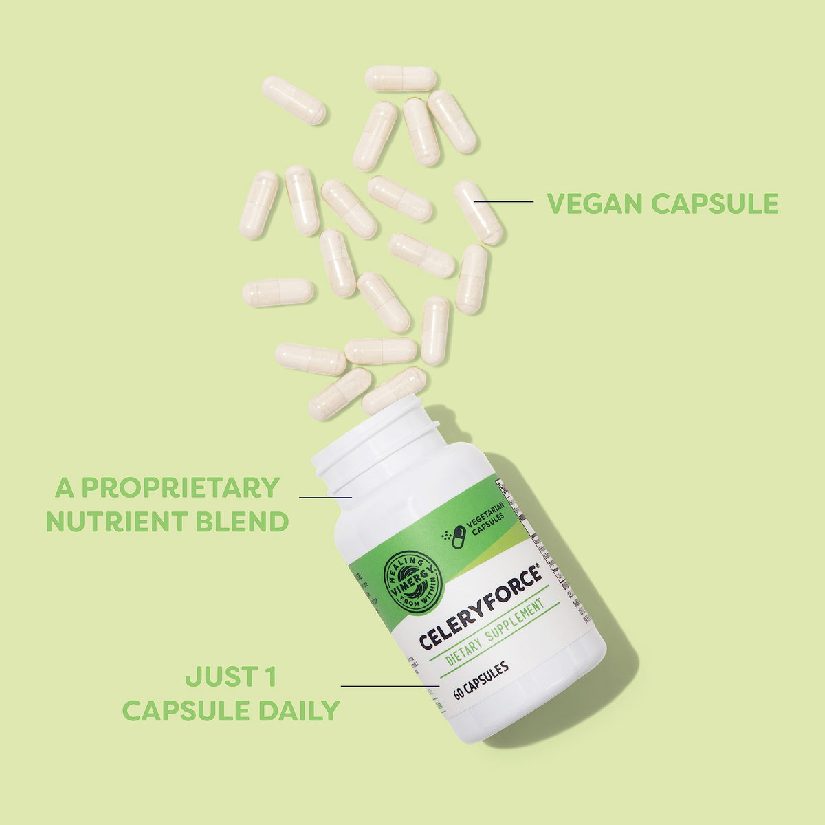 Vimergy Celeryforce 60 capsules vegan avec ingrédients visibles