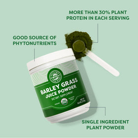 Vimergy Poudre de Jus d'Herbe d'Orge Bio 250g en utilisation dans un smoothie