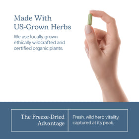 Visuel des capsules de grande camomille ECLECTIC INSTITUTE sur une surface en bois