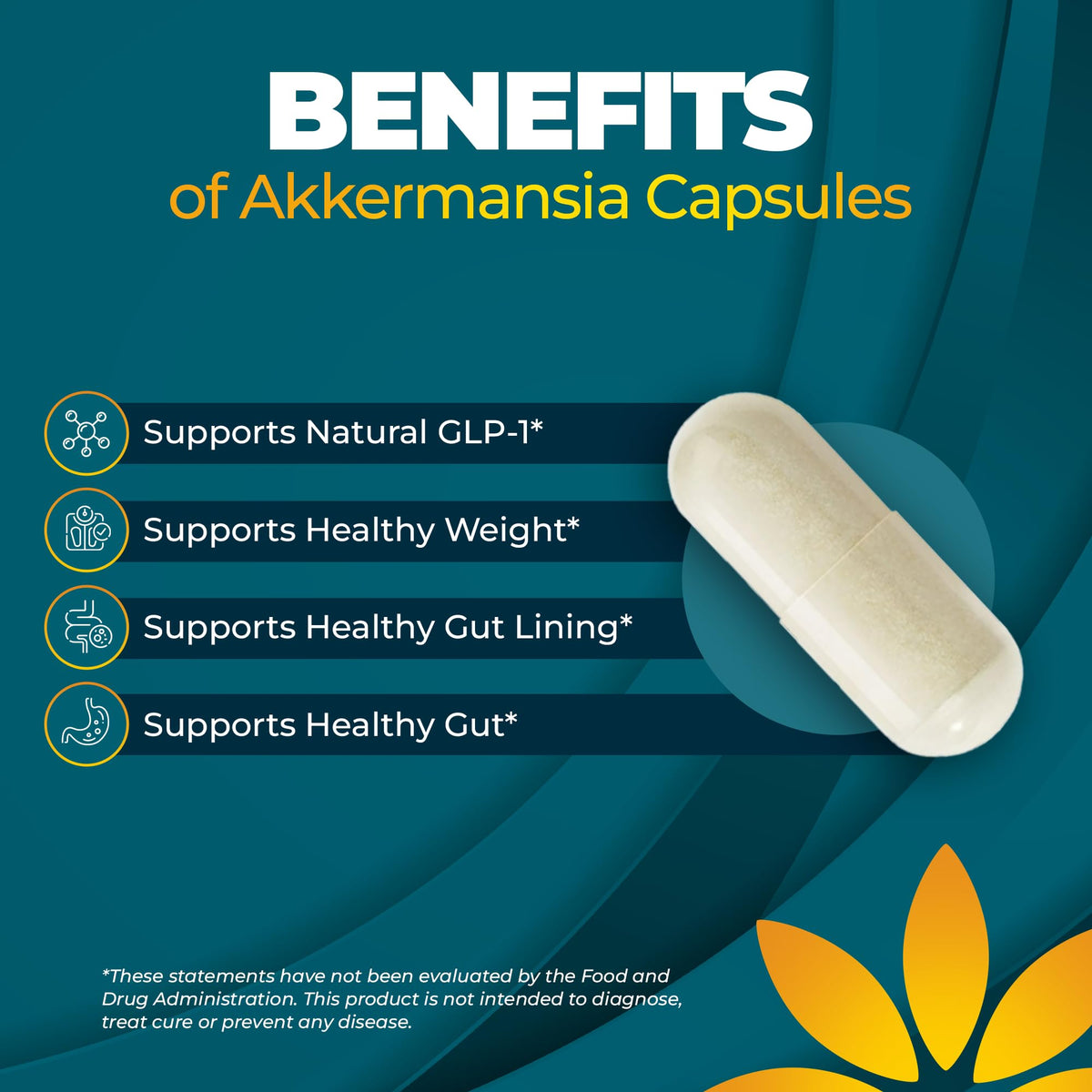 Vita Bloom Labs Complément Alimentaire Probiotique Akkermansia 30 Capsules ouverte