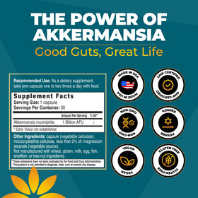 Vita Bloom Labs Complément Alimentaire Probiotique Akkermansia 30 Capsules avec d'autres compléments