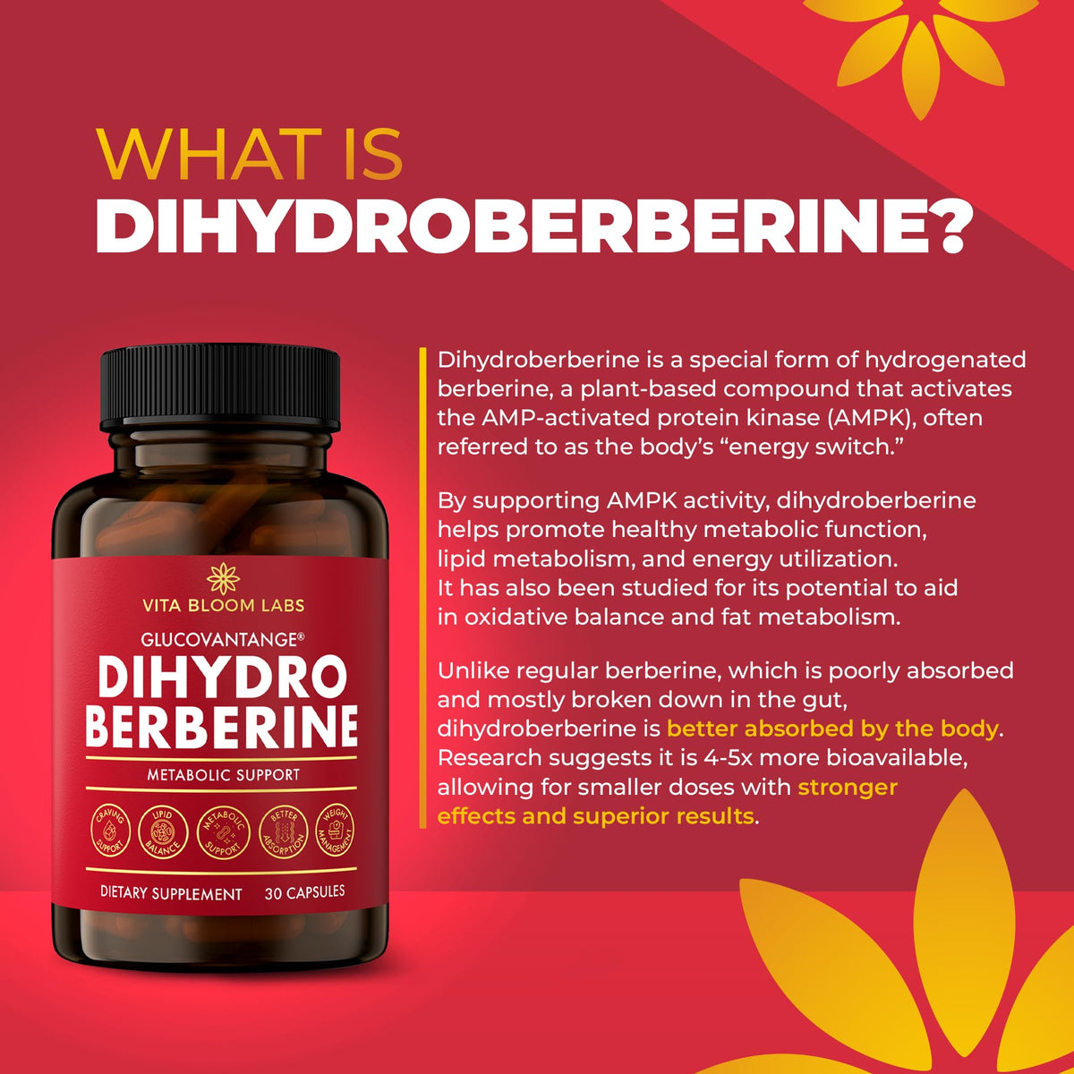 Vita Bloom Labs GlucoVantage Dihydroberberine 200mg gélules sur fond blanc