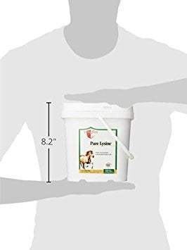 Vita Flex Pure Lysine 4 lbs, vue arrière du paquet