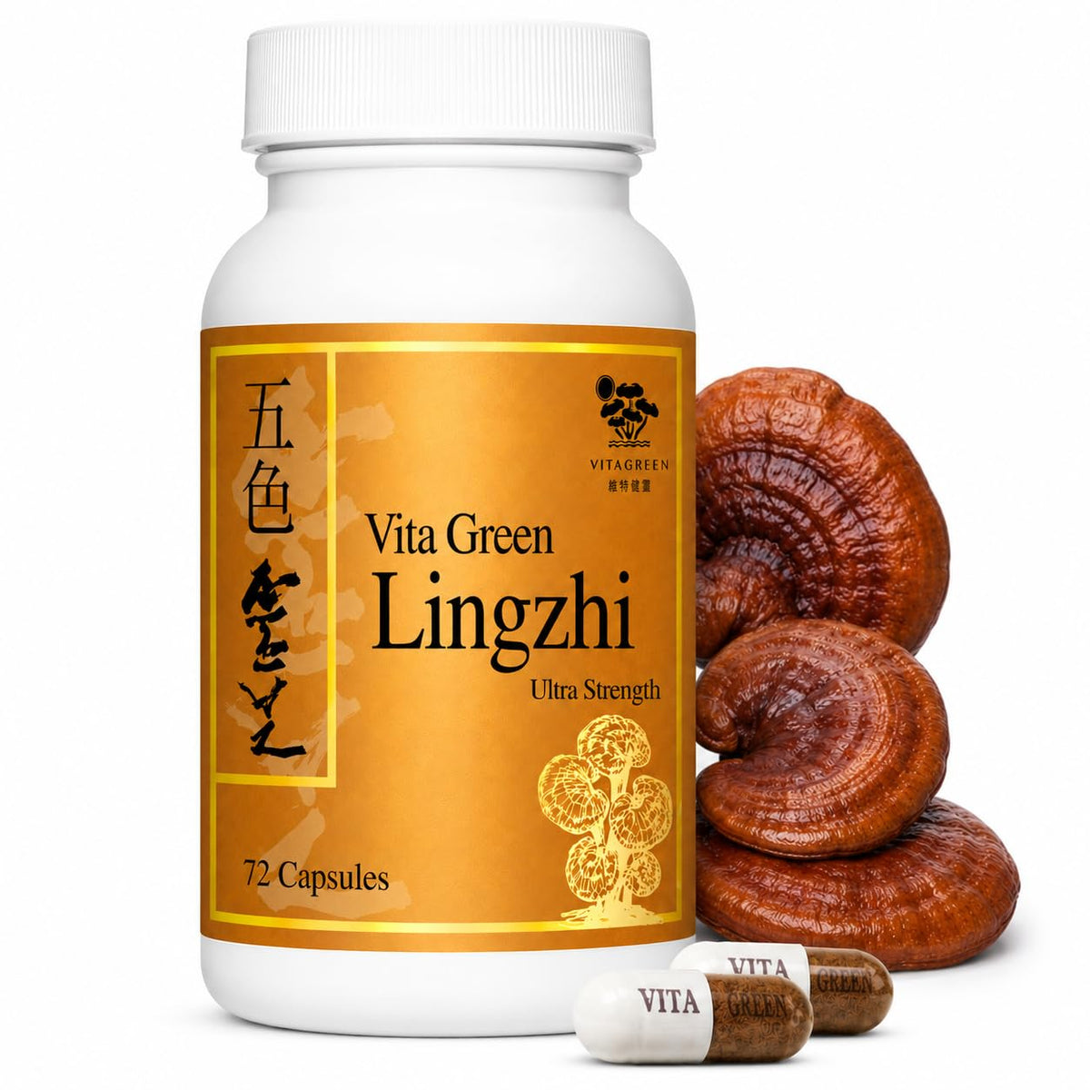 Vita Green Champignon Lingzhi 72 capsules vue de face