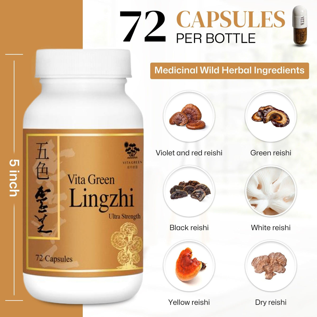 Vita Green Champignon Lingzhi capsules dans un environnement naturel