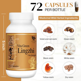 Vita Green Champignon Lingzhi capsules dans un environnement naturel