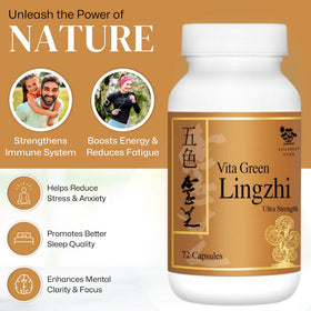 Vita Green Champignon Lingzhi flacon avec capsules