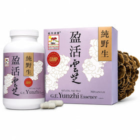 Vita Green Champignon Turkey Tail 360 capsules vue de face