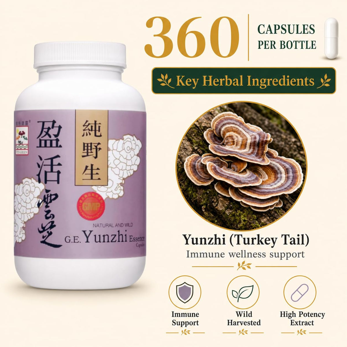 Vita Green Champignon Turkey Tail avec d'autres compléments alimentaires
