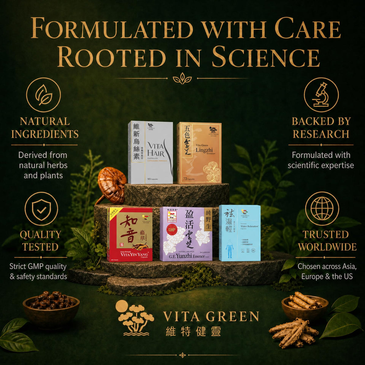 Vita Green Champignon Turkey Tail capsules en gros plan