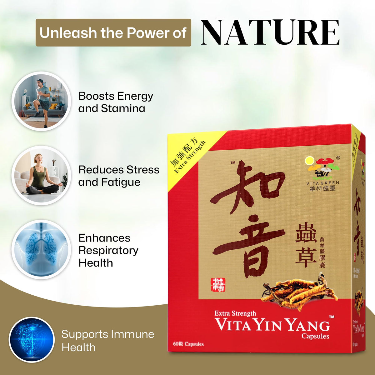 Vita Green Mycélium de Cordyceps Yin Yang - capsules à l'intérieur du flacon
