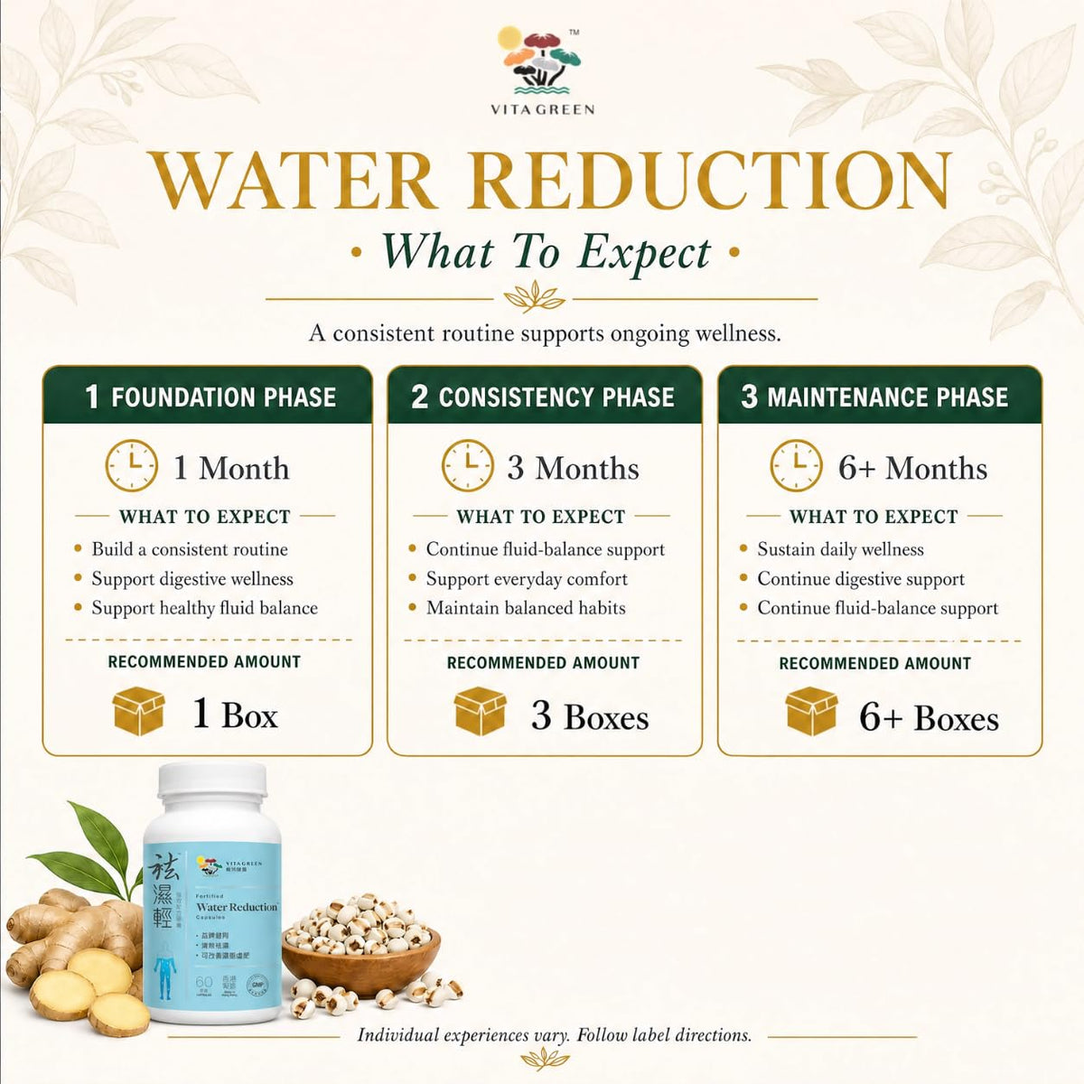 Vita Green Réduction d'Eau capsules en main pour démonstration