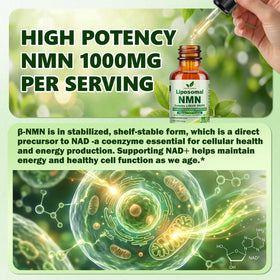 Vita PLynxera Complément NMN 1000mg gouttes à l'intérieur