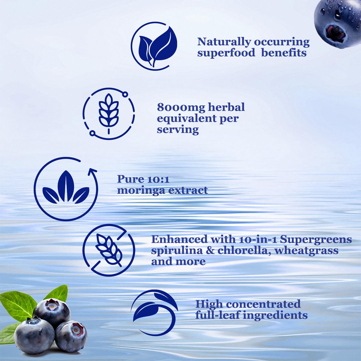 Vita PLynxera Moringa Liquide 8000 mg avec ingrédients naturels