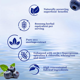 Vita PLynxera Moringa Liquide 8000 mg avec ingrédients naturels