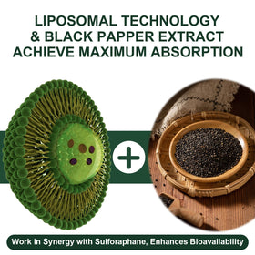 VITACRLLYNMN Liposomal Sulforaphane 900mg 180 capsules côté