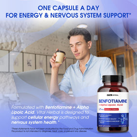 VITAL HERBAL Benfotiamine 150 Capsules flacon vue arrière
