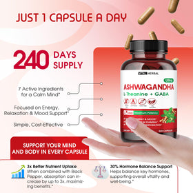 VITAL HERBAL Complexe Ashwagandha étiquette détaillée