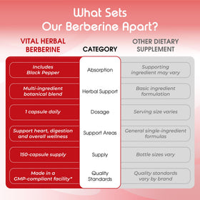 VITAL HERBAL Liposomal Berberine avec des ingrédients naturels