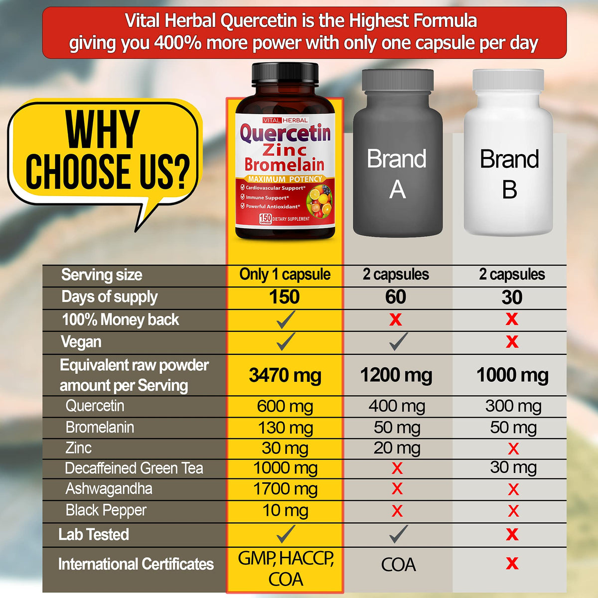 VITAL HERBAL Quercétine Pureté Élevée 98% ingrédients de la formule