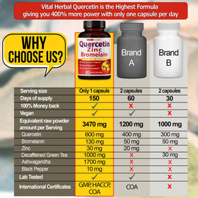 VITAL HERBAL Quercétine Pureté Élevée 98% ingrédients de la formule