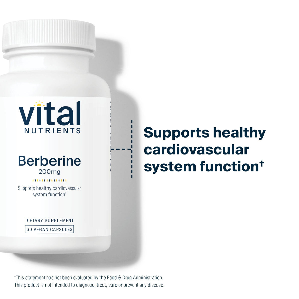 Vital Nutrients Berberine 200 mg capsules, présentation de la boîte ouverte
