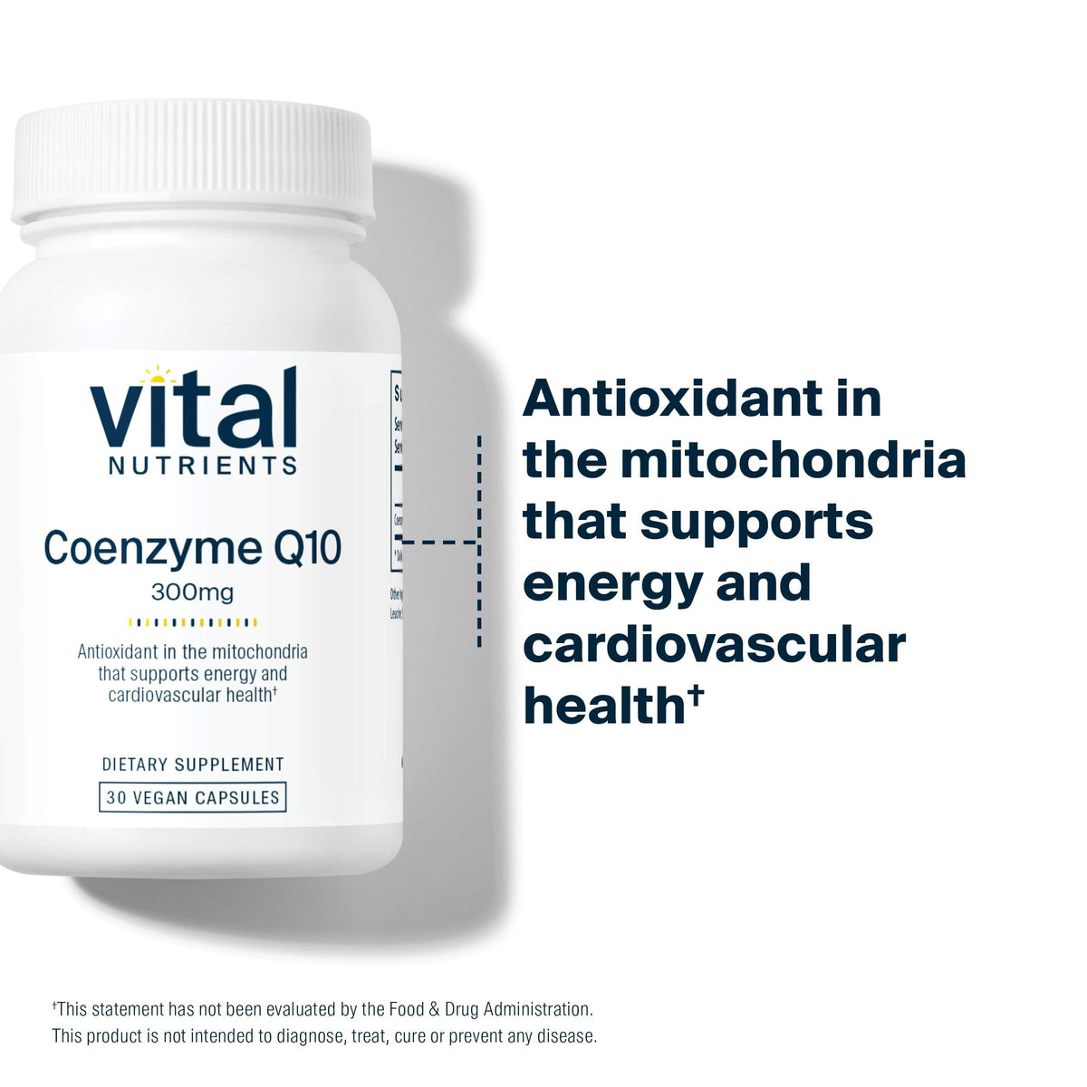 Vital Nutrients CoQ10 300mg en contexte de vie quotidienne
