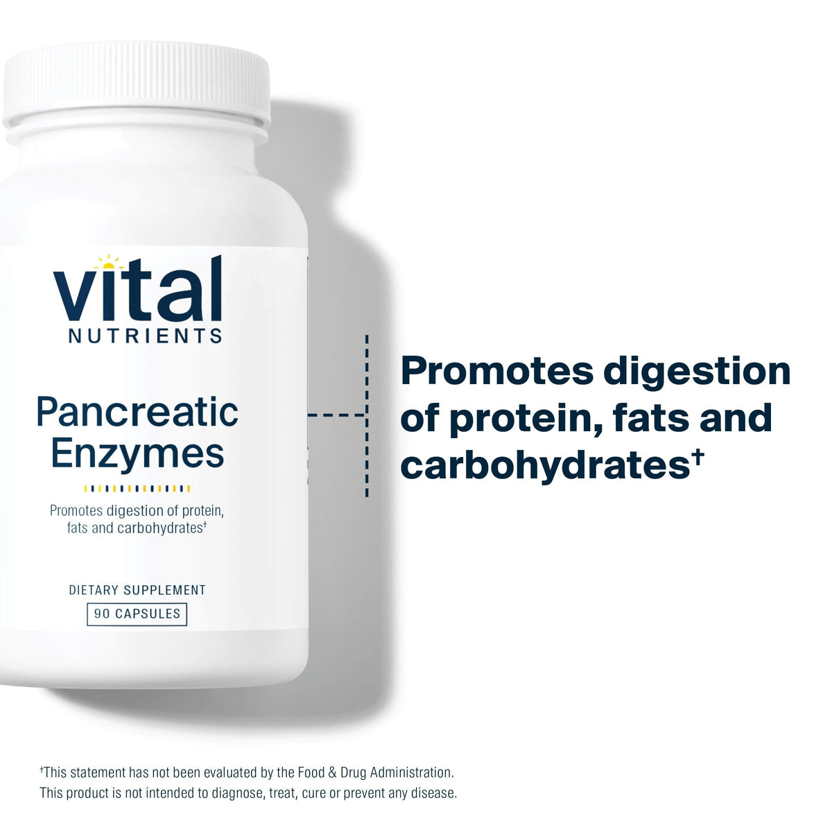 Vital Nutrients Enzymes Pancréatiques 1 000 mg 90 Capsules contenant
