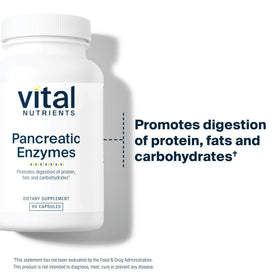 Vital Nutrients Enzymes Pancréatiques 1 000 mg 90 Capsules contenant