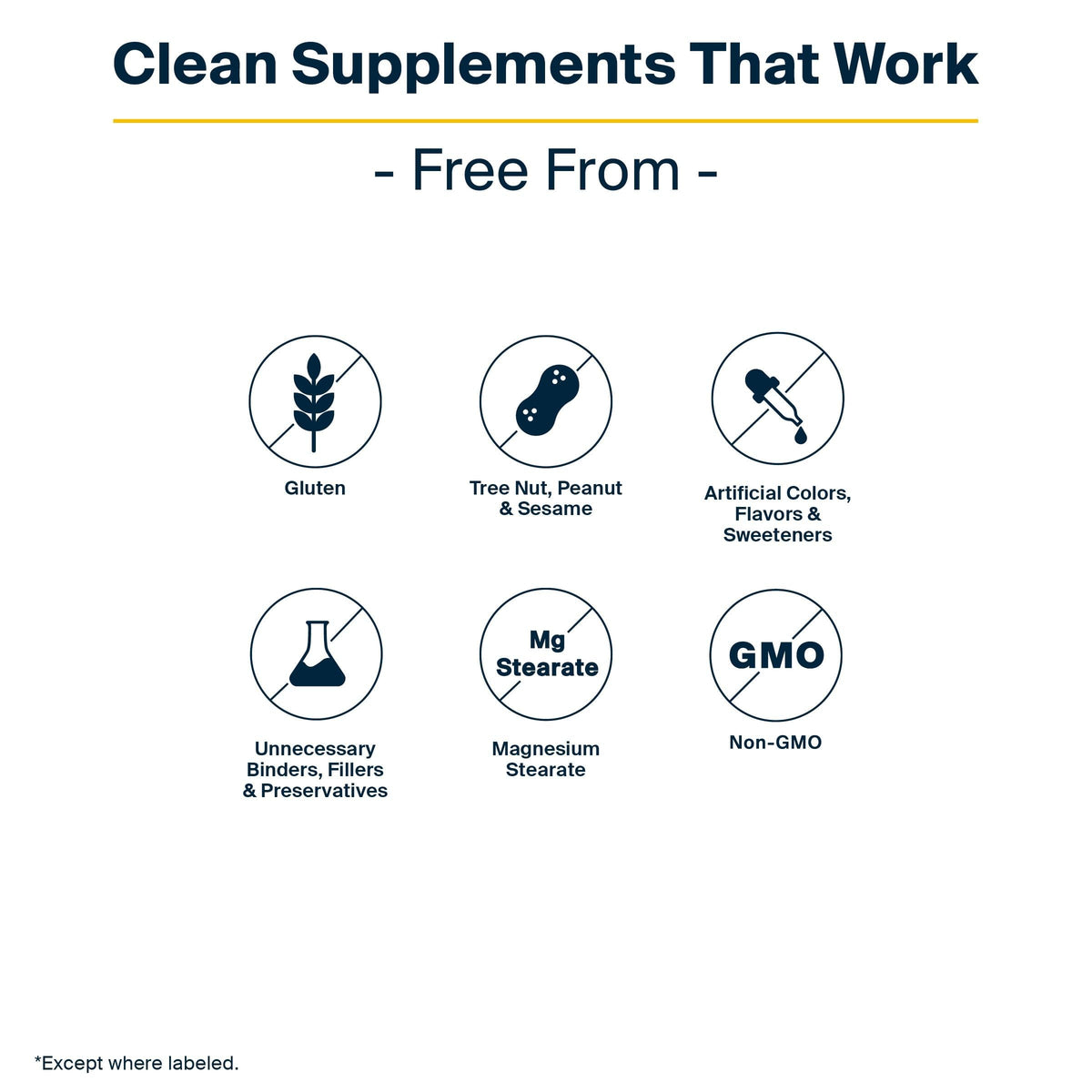 Vital Nutrients GI Repair Powder 40 servings nutritional information